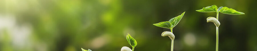 Baptisthealthintuiti